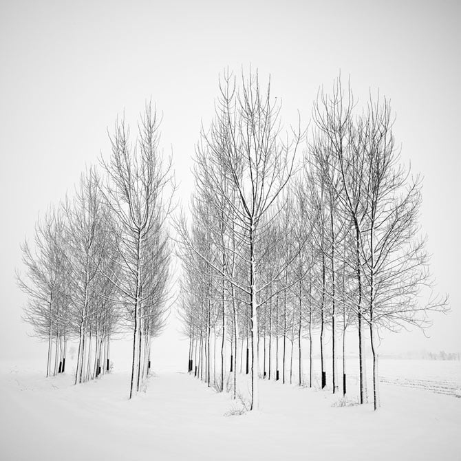 Pierre Pellegrini - Tracce d'inverno