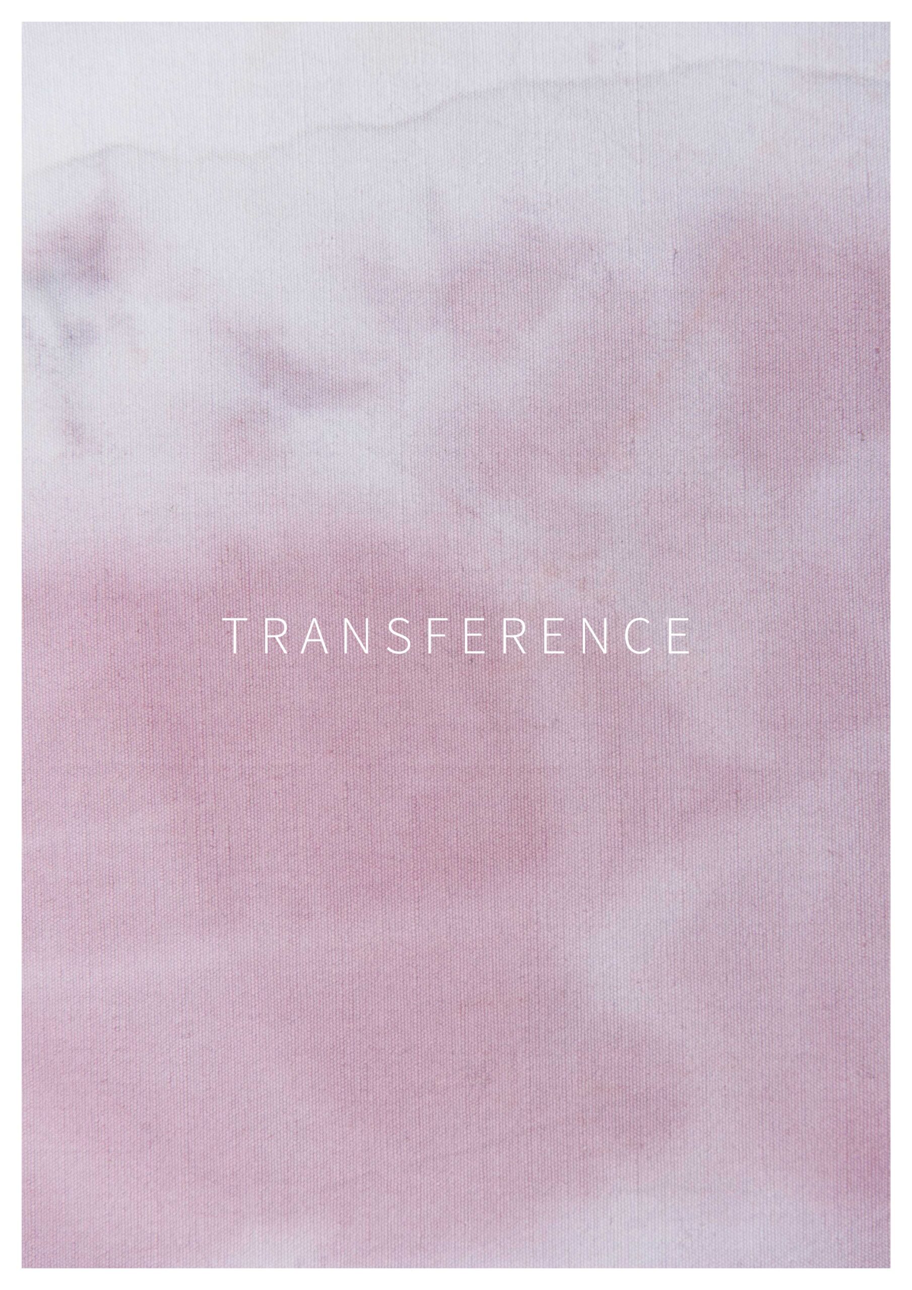 Christian Zucconi - Transference