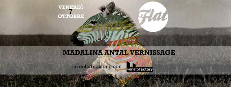 Madalina Antal – Vernissage