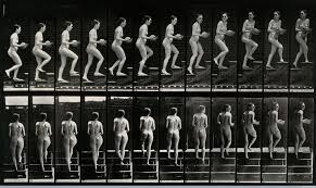 Eadweard Muybridge - Muybridge Recall