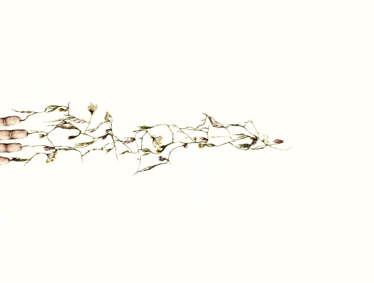Cristina Pancini – (Nothing But) Flowers