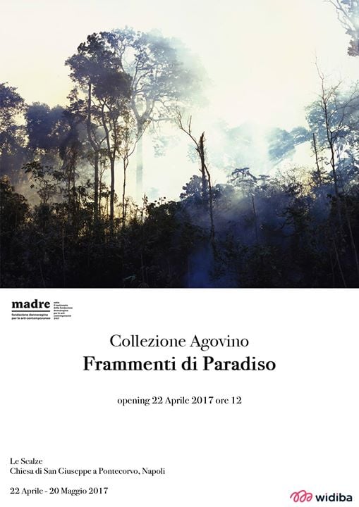 Frammenti di Paradiso