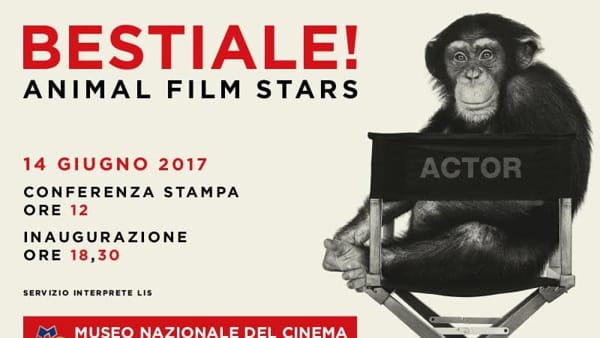 Bestiale! Animal Film Stars