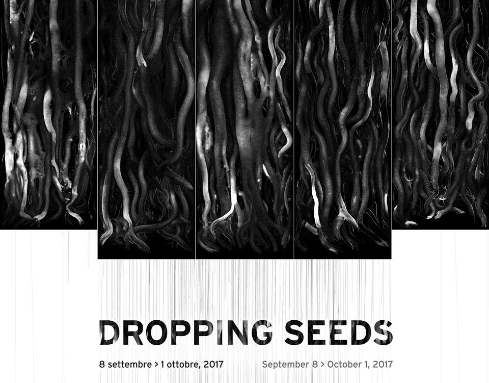 Dropping Seeds