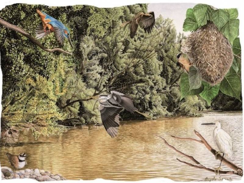 Natura da preservare