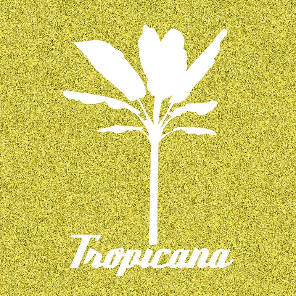 Massimo Dalla Pola – Tropicana