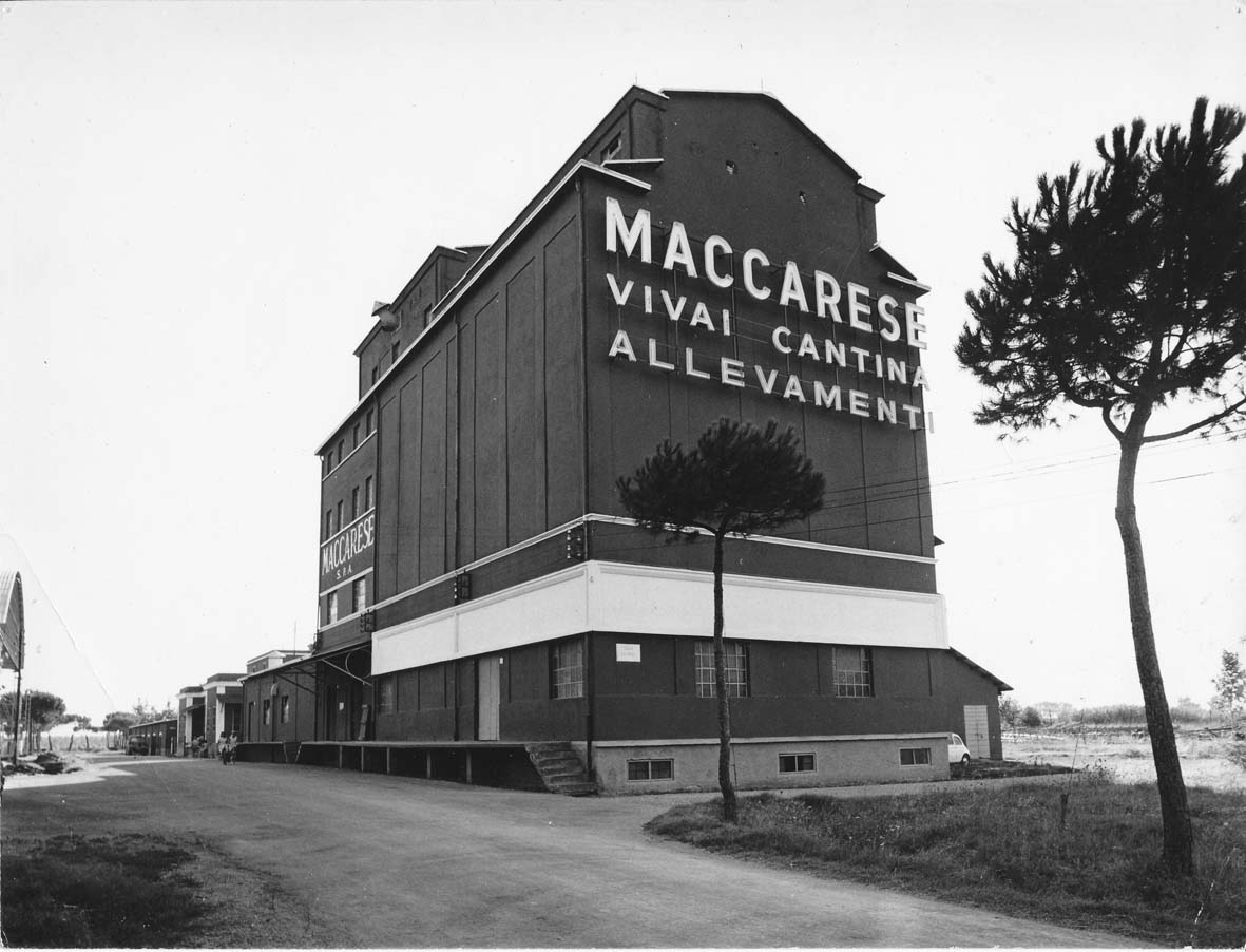 Inaugurazione Archivio Maccarese