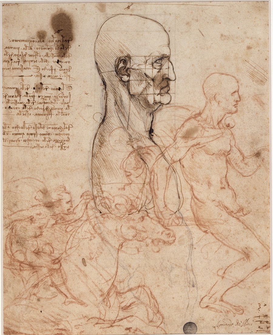 Leonardo da Vinci. L’uomo modello del mondo
