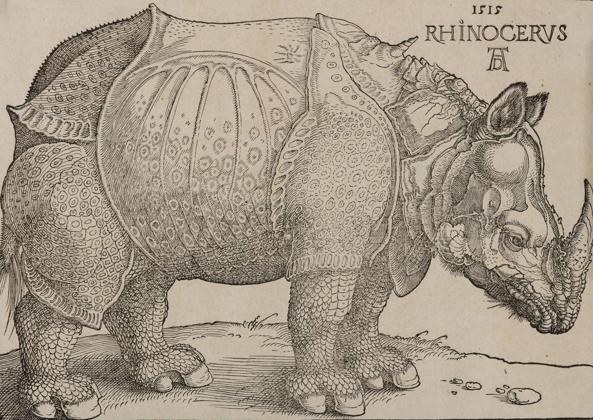 Albrecht Dürer - La collezione Remondini