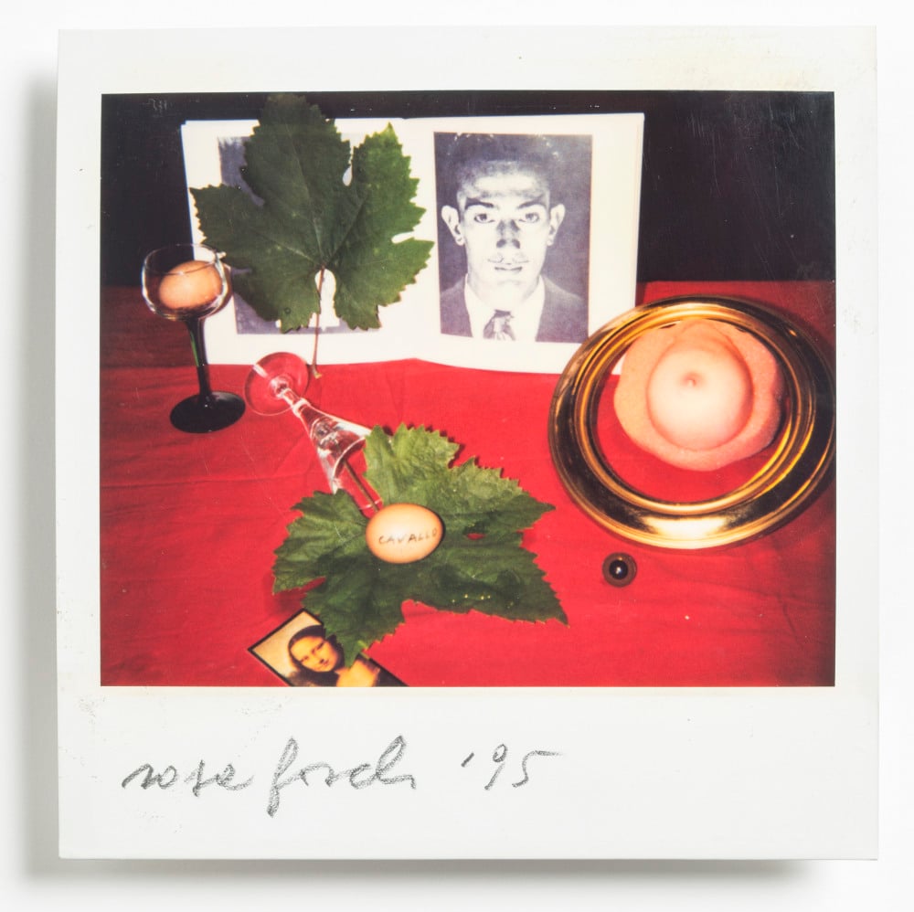 Rosa Foschi – Polaroid Rosa & Film Foschi