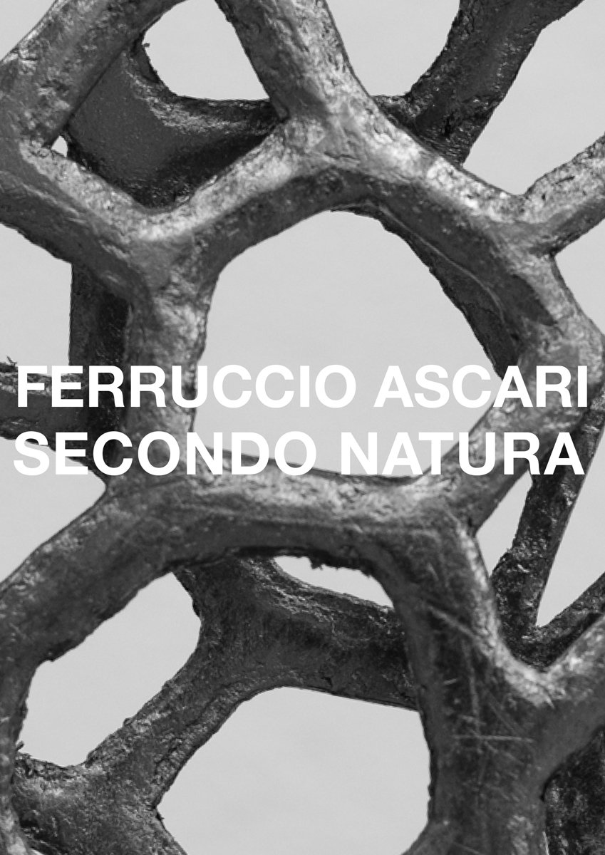 Ferruccio Ascari - Secondo Natura