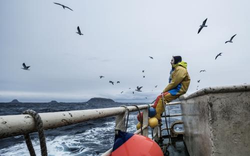 Valentina Tamborra – Skrei. Il Viaggio