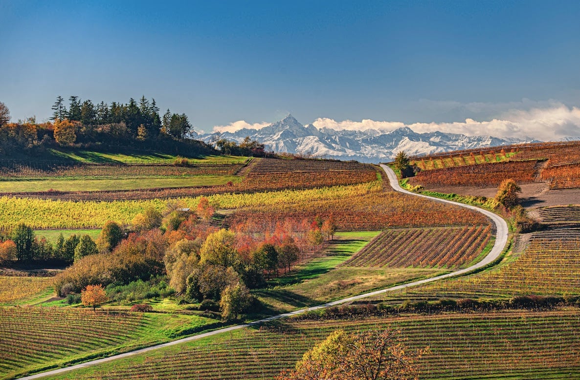 Enzo Isaia - Le Alpi del Monferrato