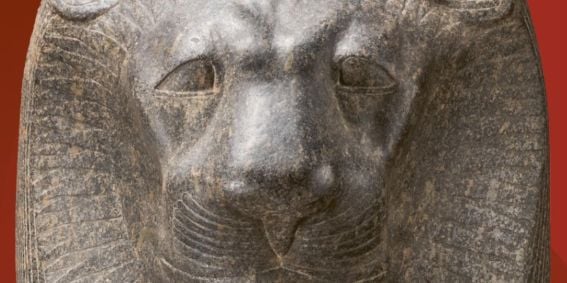 Sekhmet la Potente. Una leonessa in città