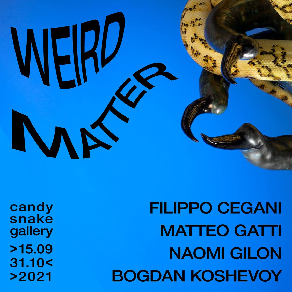Weird Matter