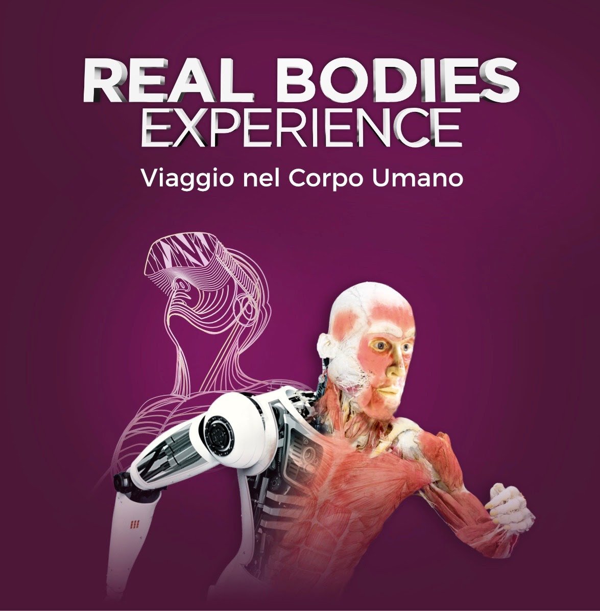 Real Bodies Experience