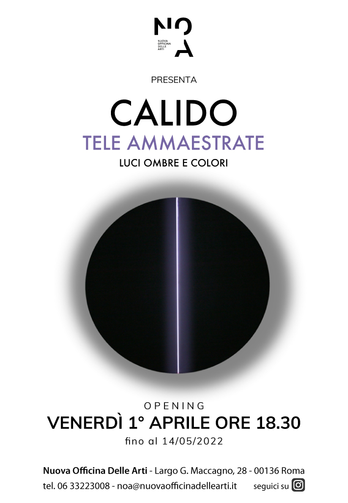 Calido – Tele ammaestrate