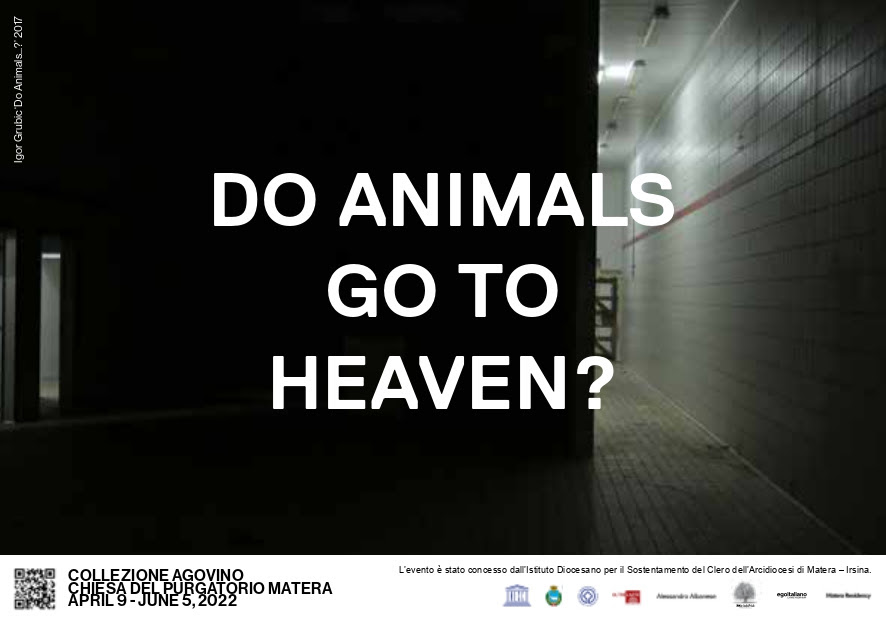 Do Animals Go To Heaven?