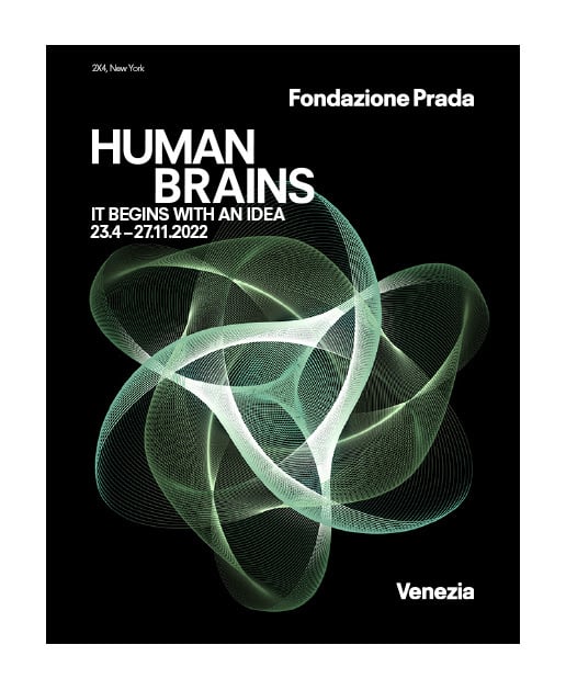 Human Brains: It Begins with an Idea