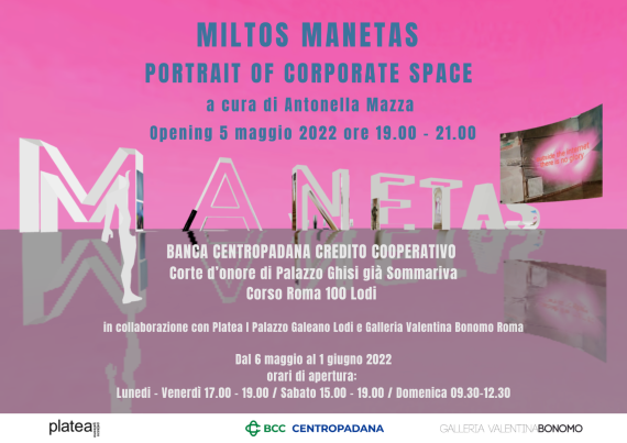 Miltos Manetas - Portrait of Corporate Space
