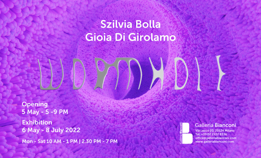 Szilvia Bolla / Gioia di Girolamo – Wormhole