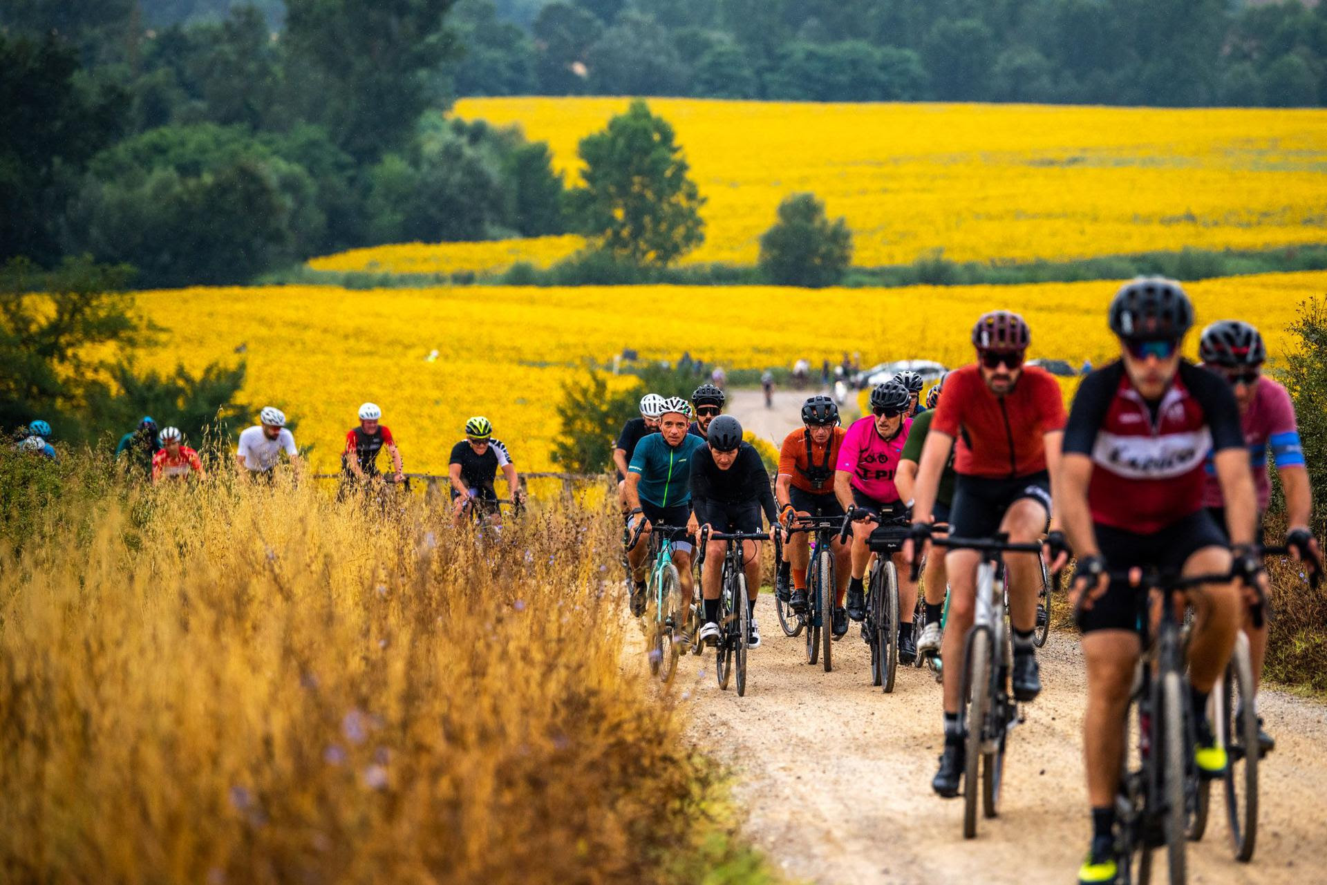 Festival di Nova Eroica 2022