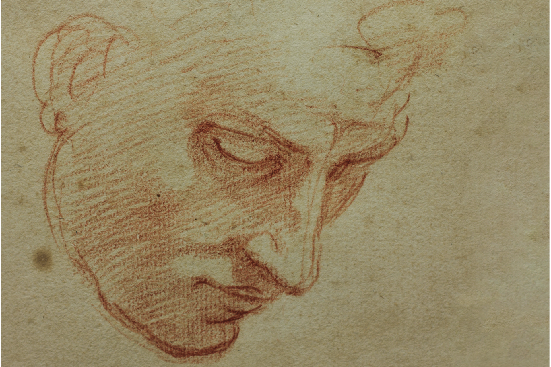 Michelangelo e la Cappella Sistina nei disegni autografi di Casa Buonarroti