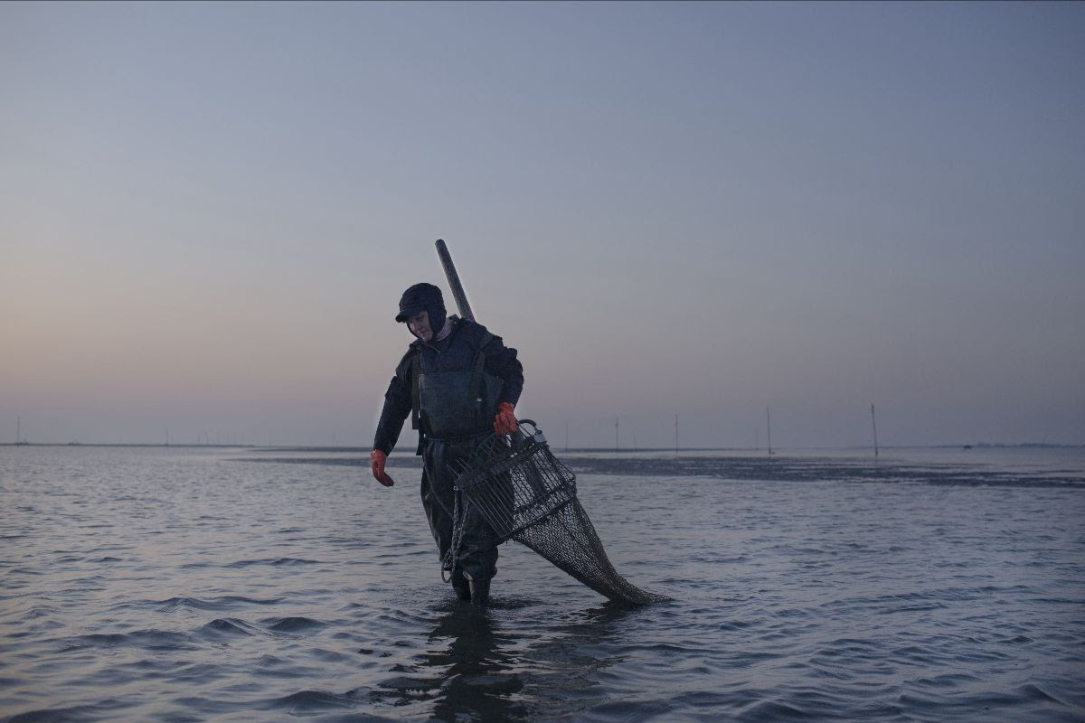 Chiara Negrello - Like the tide. A women story