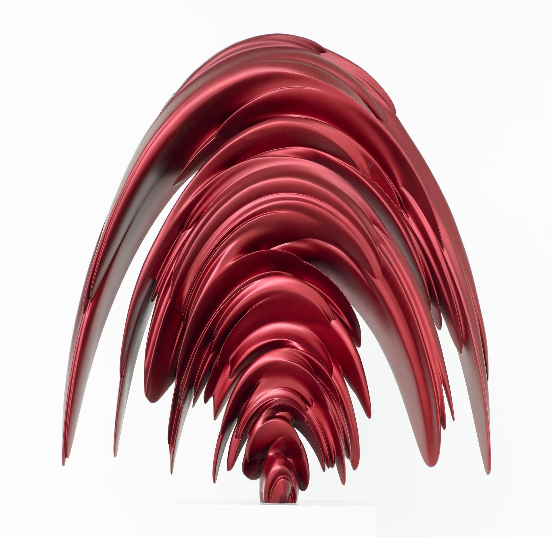 Tony Cragg – Transfer