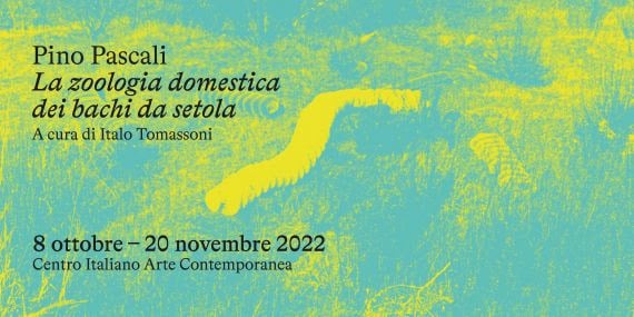 Pino Pascali – la zoologia domestica dei bachi da setola