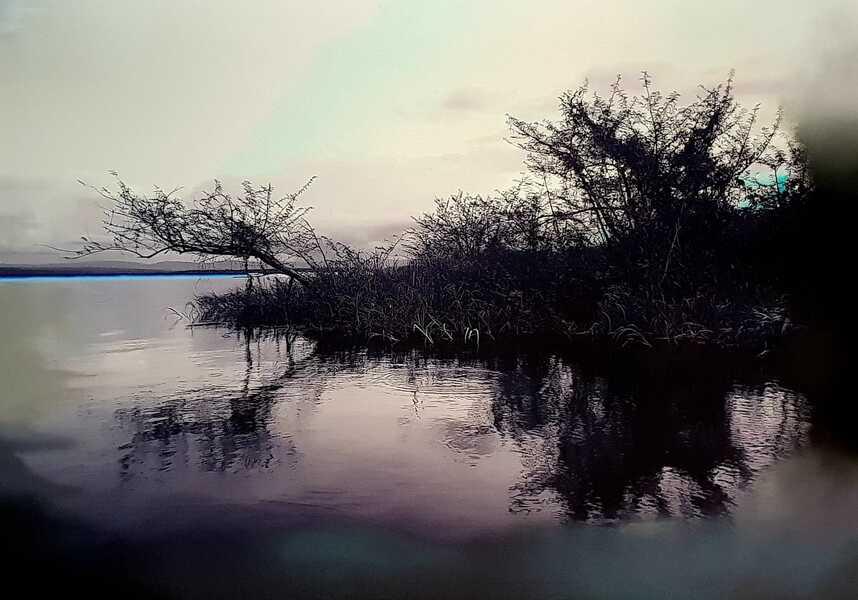 Luigi Marano – Genesi