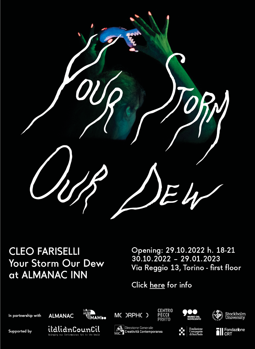 Cleo Fariselli - Your Storm Our Dew