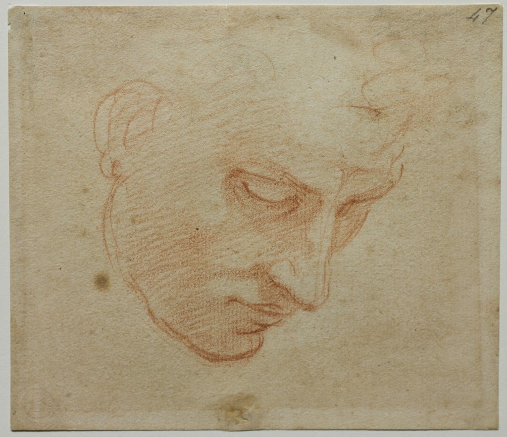 Michelangelo e la Cappella Sistina