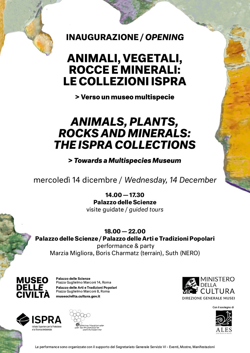 Animali Vegetali Rocce e Minerali