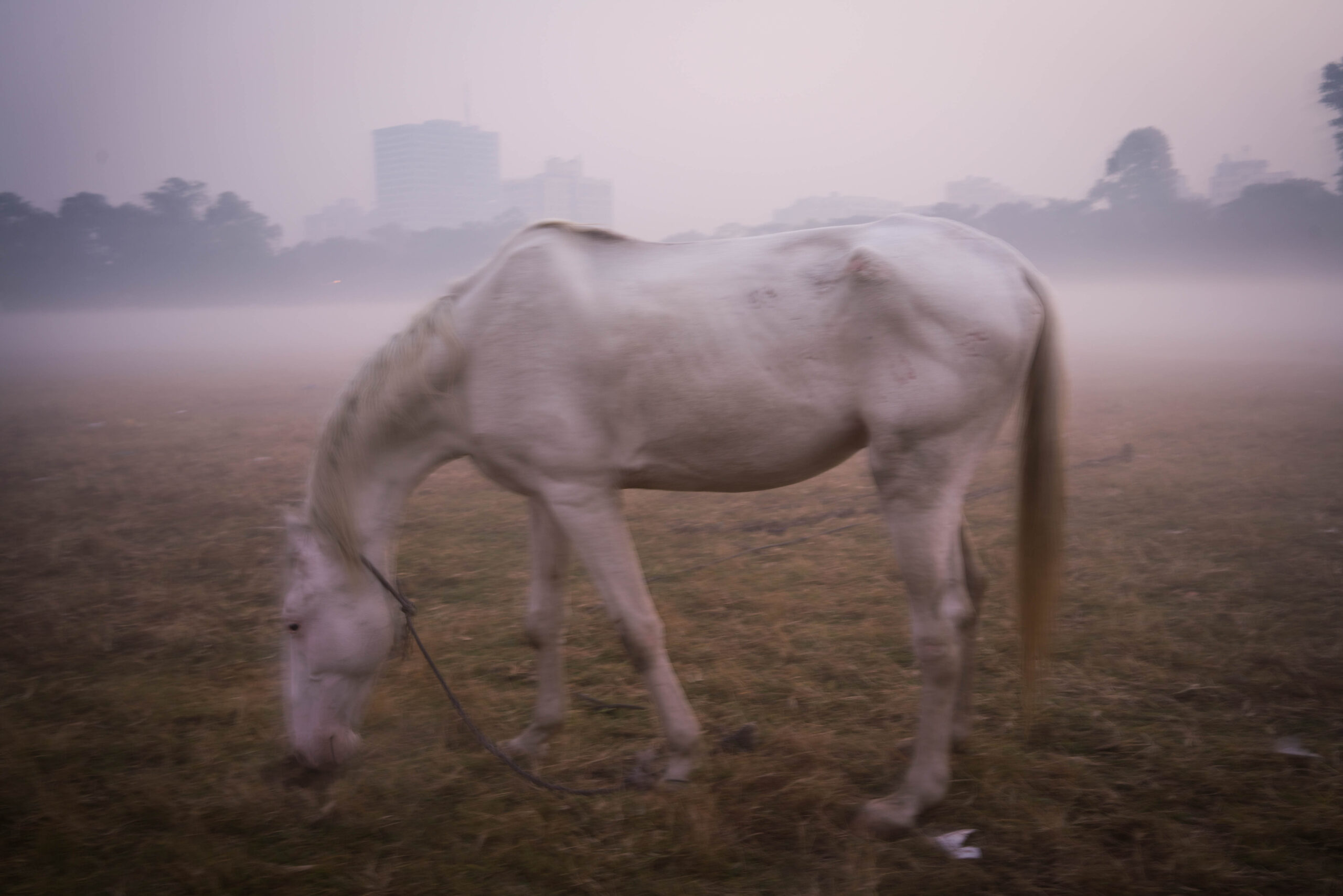 YOU/th – La mostra collettiva
