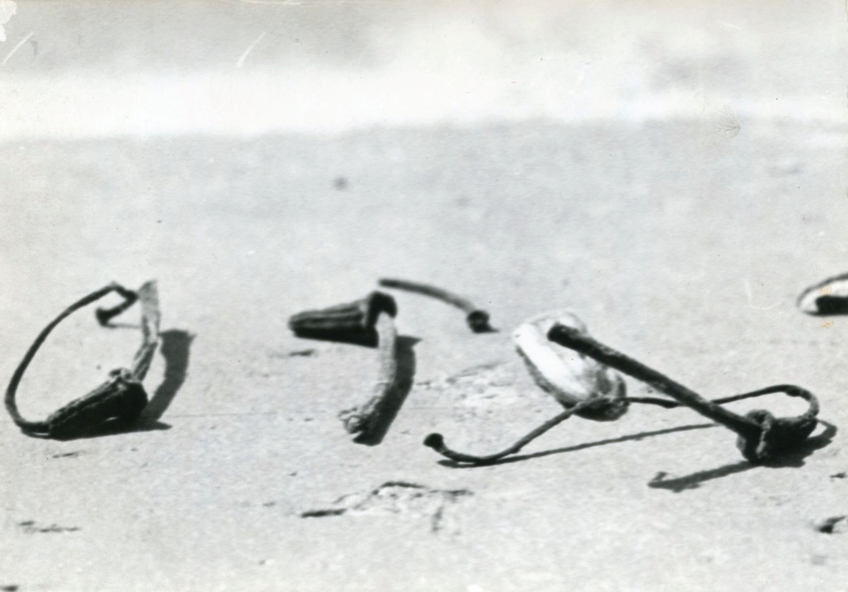 Emilio Scanavino - Luce e Materia. Fotografie degli Anni Sessanta