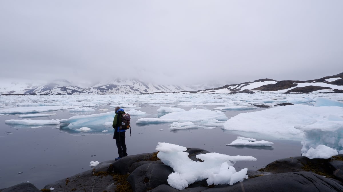 Roberto Ghezzi - The Greenland Project