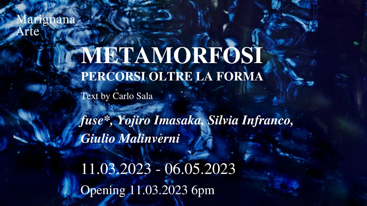 Metamorfosi. Percorsi oltre la forma