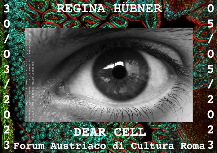 Regina Hübner - Dear cell