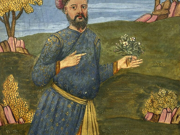Nicolò Manucci. Il Marco Polo deIl’India
