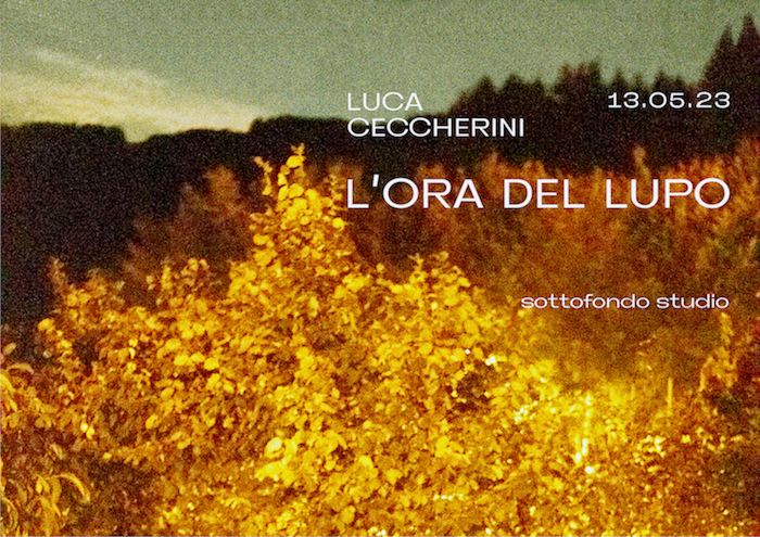 Luca Ceccherini - L’ora del lupo