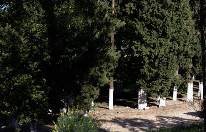 Immergersi: Danzando in natura tra le tra arti sonore e scultoree