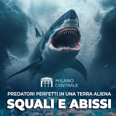 Squali e abissi - Predatori perfetti in una terra aliena