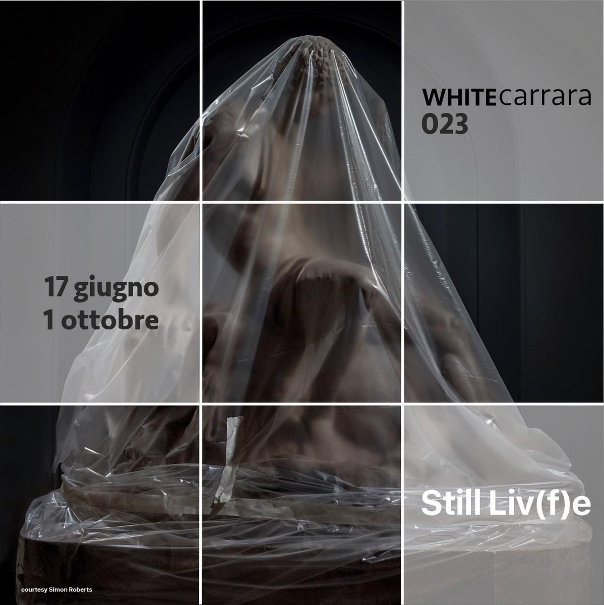 White Carrara 2023