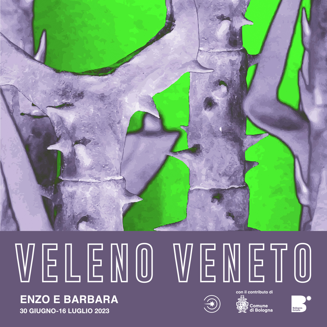 Enzo e Barbara - Veleno veneto